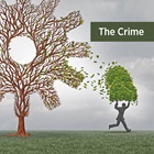 Reporting Financial Crime as a Matter of Stewardship