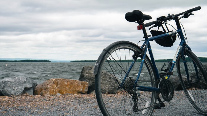 Strengthen Your Ability to Face Adversity with the 7 Keys to Resilience Strengthen Your Ability to Face Adversity with the 7 Keys to Resilience