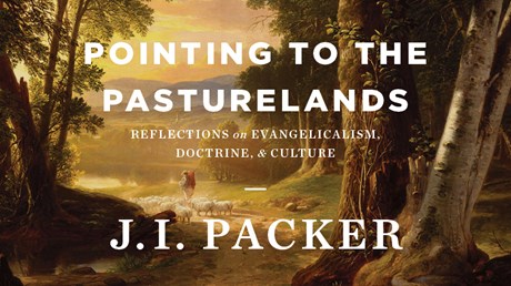 Pointing to the Pasturelands: Reflections on Evangelicalism, Doctrine, & Culture
