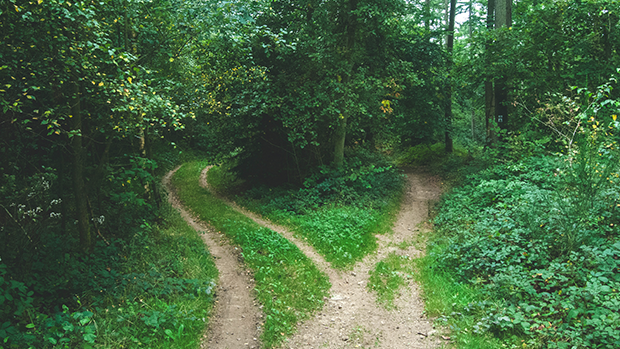 Discernment as a Way of Life Discernment as a Way of Life