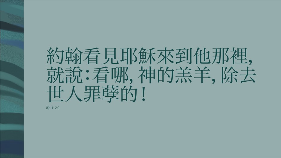 看那羔羊 看那羔羊