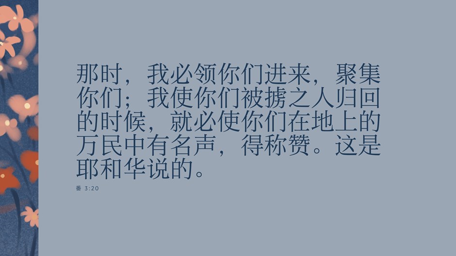 带我们回家 带我们回家