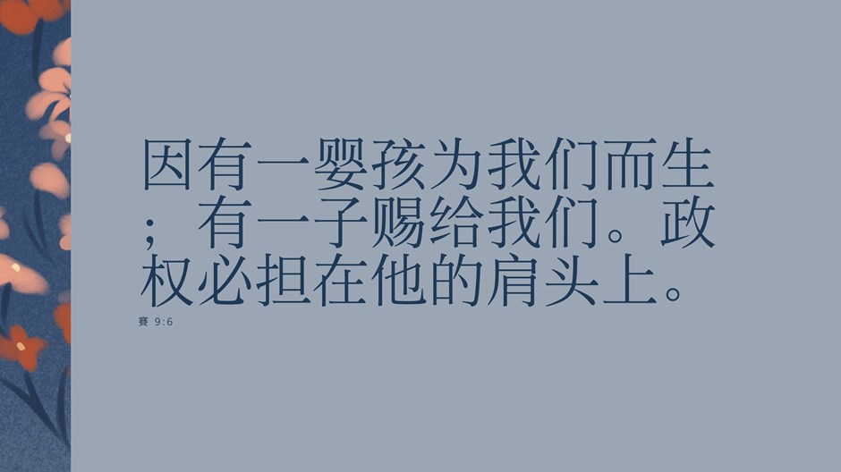 婴孩王 婴孩王