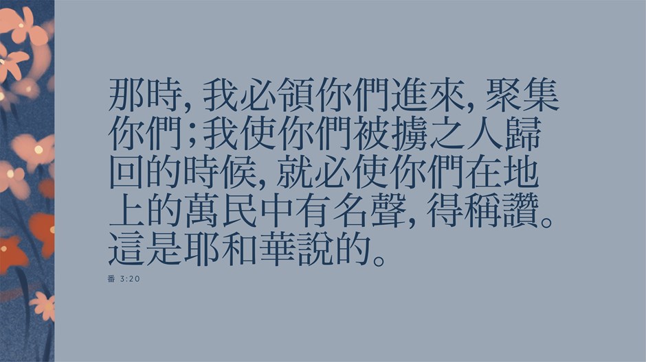 帶我們回家 帶我們回家