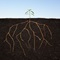How to Pursue Spiritual Growth in Small Groups How to Pursue Spiritual Growth in Small Groups