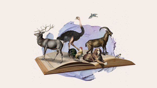 5 Books on the Connection Between God and Animals... | Christianity Today