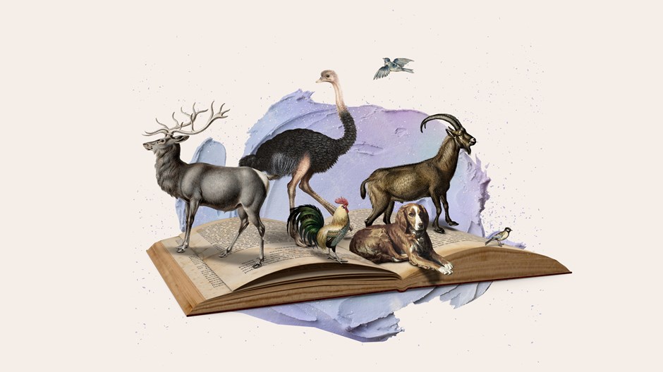 5 Books on the Connection Between God and Animals