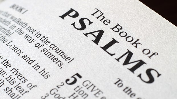 Top 5 Bible Studies on the Psalms