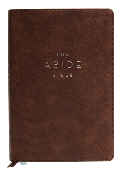 Abide Bible & Abide Bible Journals
