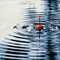 Fishing for True Small-Group Leaders Fishing for True Small-Group Leaders
