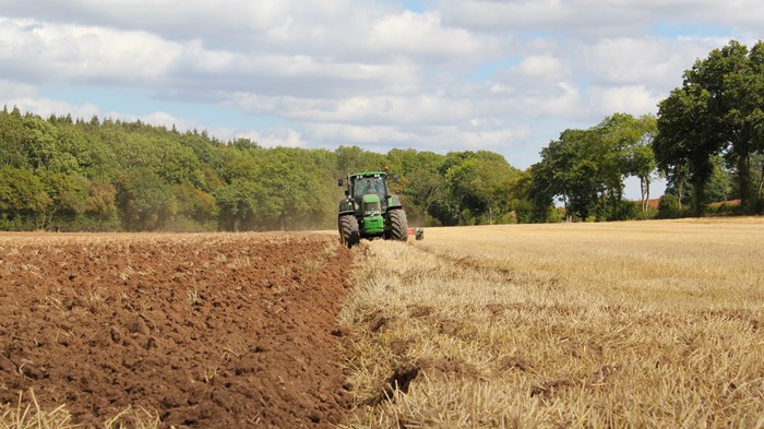 Q&A: How the War on Ukraine is Hurting the Global Food Supply Chain.