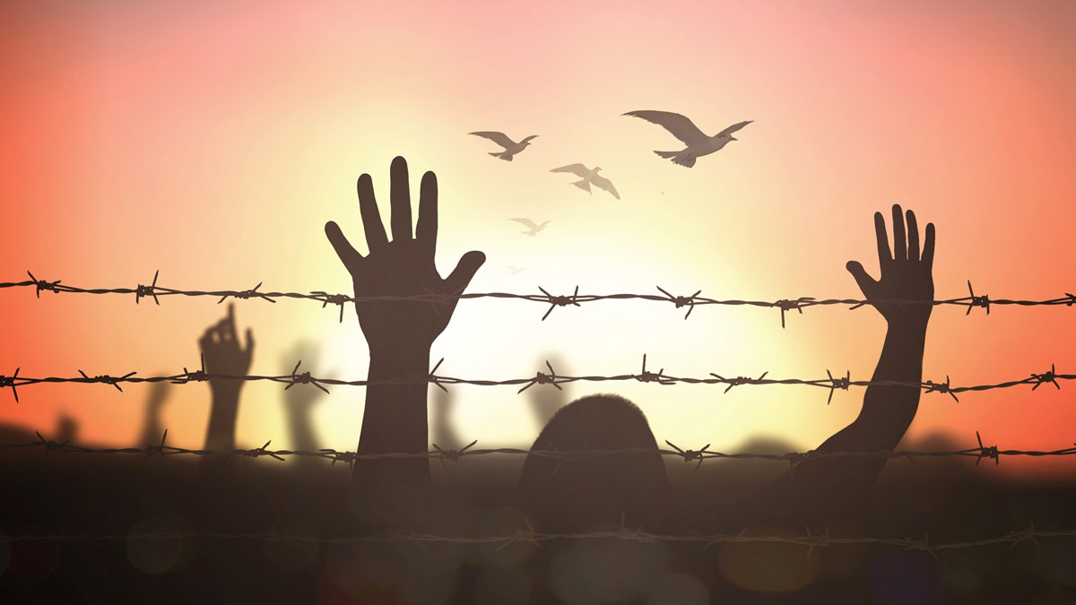 Take Another Look. What if We Saw Asylum Seekers as Our Brothers and Sisters... | The Better Samaritan with Jamie Aten and Kent Annan - Vimarsana News
