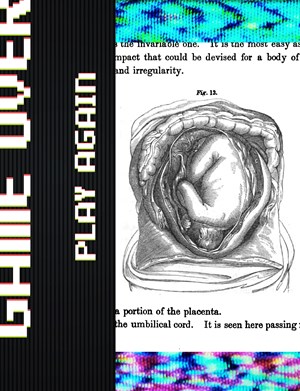 Diagram from the novel, The Mother and Her Offspring, showing a baby in the womb..