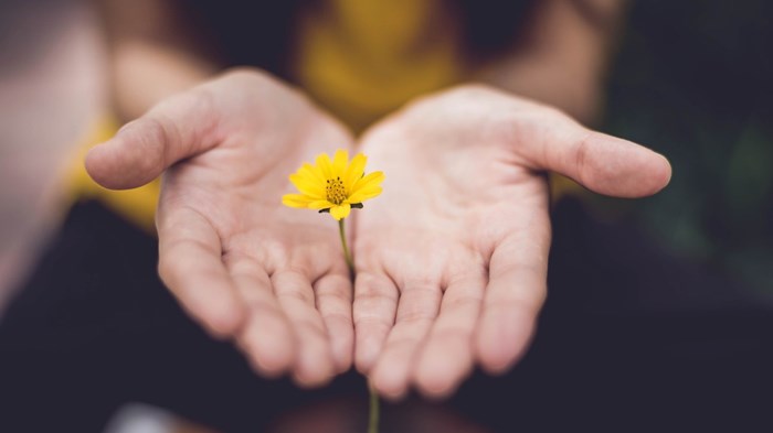3 Reasons to View Your Career through the Lens of Stewardship 3 Reasons to View Your Career through the Lens of Stewardship