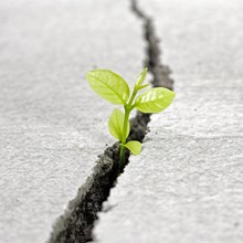 The Crack in Your Small-Group Ministry