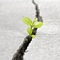 The Crack in Your Small-Group Ministry The Crack in Your Small-Group Ministry