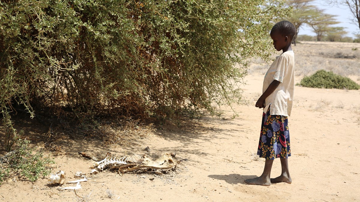 Africa's Worst Famine in Decades Threatens Family Unity ... - Vimarsana News