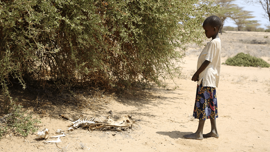 En Afrique, la pire famine depuis des décennies menace l’unité des familles et la dignité humaine