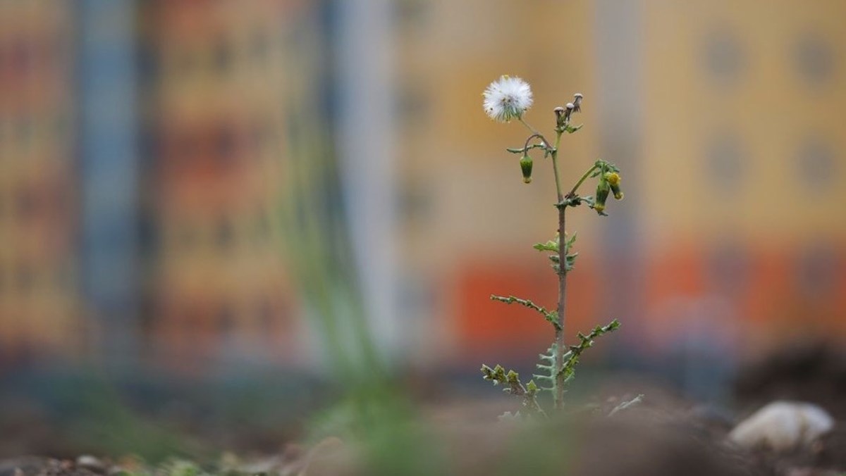 No Small Thing: God's Strength in Our Weakness - Vimarsana News