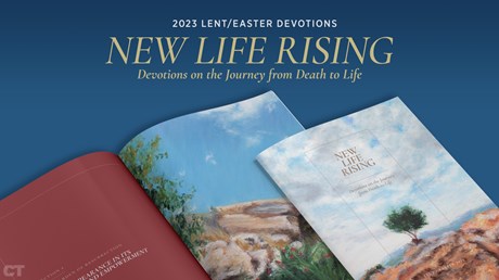 Introducing: New Life Rising