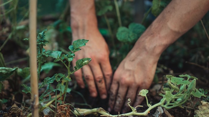 To Whom Much Is Given, Much Will Be Required: On Christians and Climate Change To Whom Much Is Given, Much Will Be Required: On Christians and Climate Change