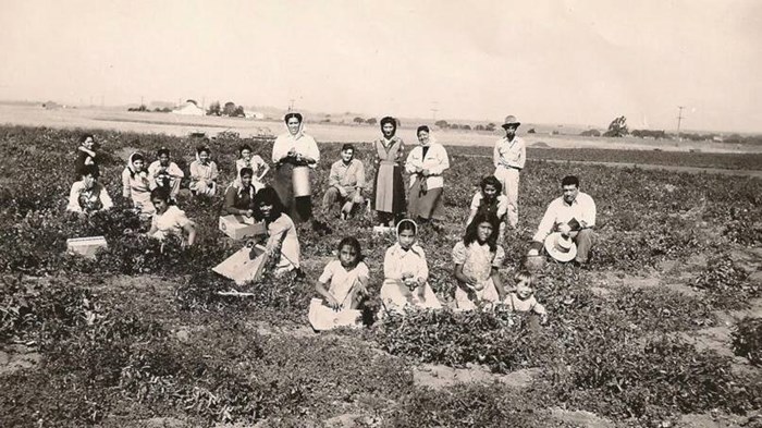 Work Hard, Pray Hard: How Pentecostalism Took Off Among California Laborers Work Hard, Pray Hard: How Pentecostalism Took Off Among California Laborers