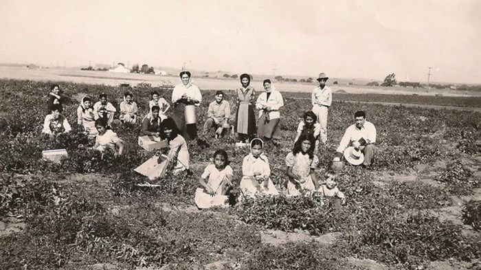 Work Hard, Pray Hard: How Pentecostalism Took Off Among California Laborers