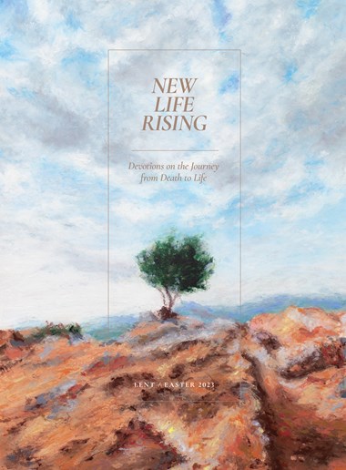 New Life Rising New Life Rising