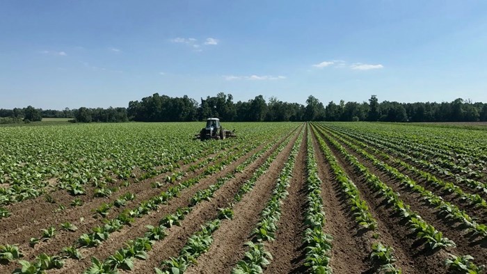 Migrant Workers Are Indispensable to America’s Farms. It’s Time for Congress to Protect Them.