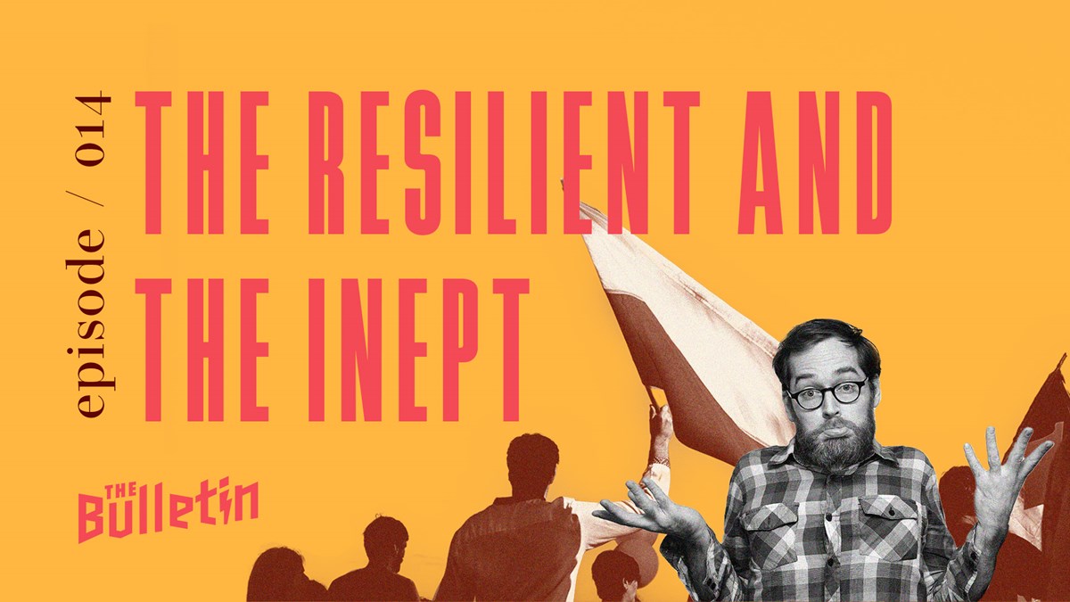 The Resilient And The Inept - Vimarsana News