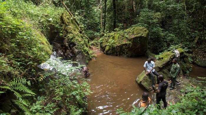 Christian Conservationists Sue to Protect Ghana Forest