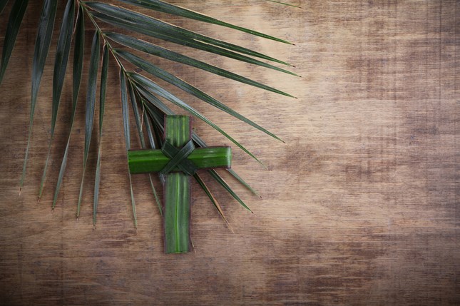 Preaching on Jesus' Triumphal Entry Preaching on Jesus' Triumphal Entry