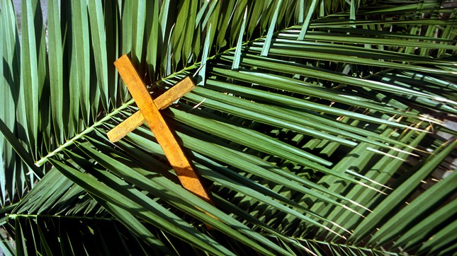 Three Practices for Promoting the Power of Palm Sunday