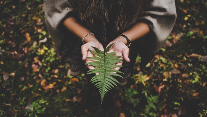 A Witness for the Creator (Part Two): Ideas and Resources to Help You Care for Creation A Witness for the Creator (Part Two): Ideas and Resources to Help You Care for Creation