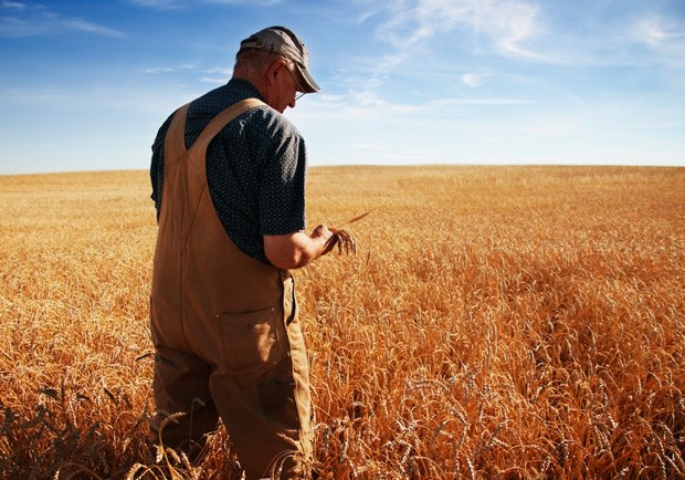 Did We Love 'God Made a Farmer' Too Much?