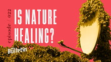 Is Nature Healing? Is Nature Healing?