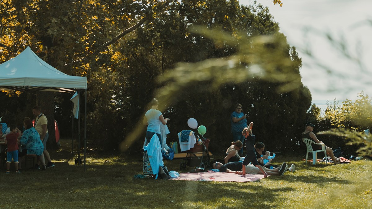 Lessons on Living Locally - Vimarsana News