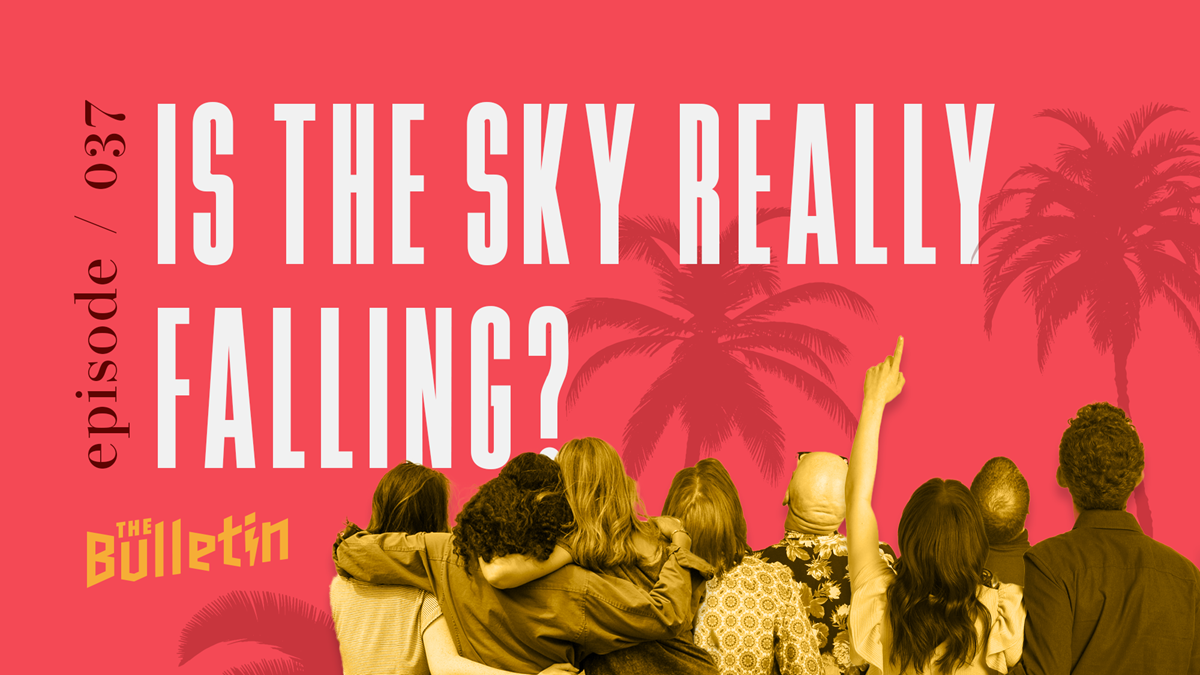 Is the Sky Really Falling? - Vimarsana News