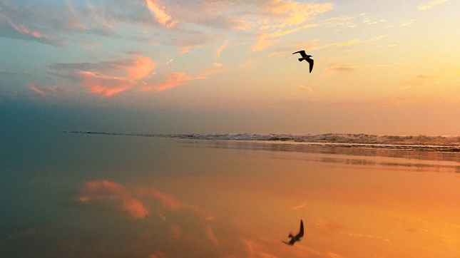 Grace Waylaid Grace Waylaid