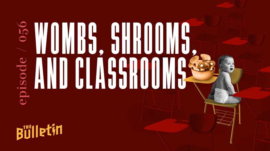 Wombs, Shrooms, and Classrooms