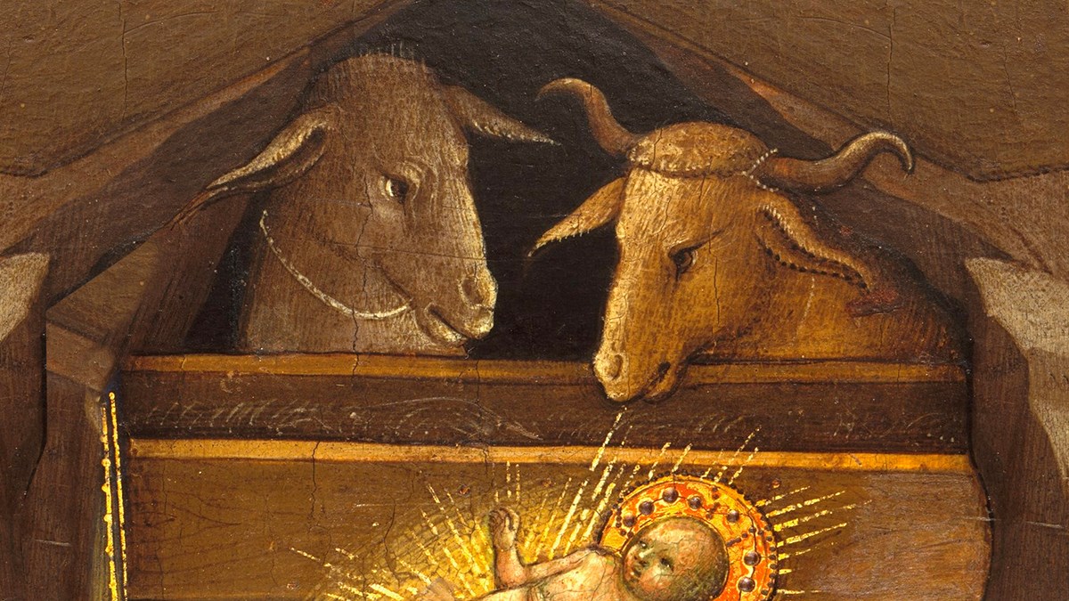 Where Ox and Ass Are Teaching - Vimarsana News