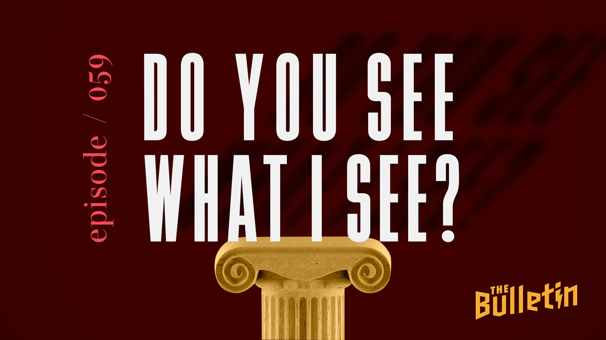 Do You See What I See? - Vimarsana News
