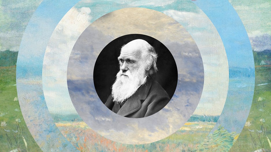 The Echoes of Genesis in Darwin