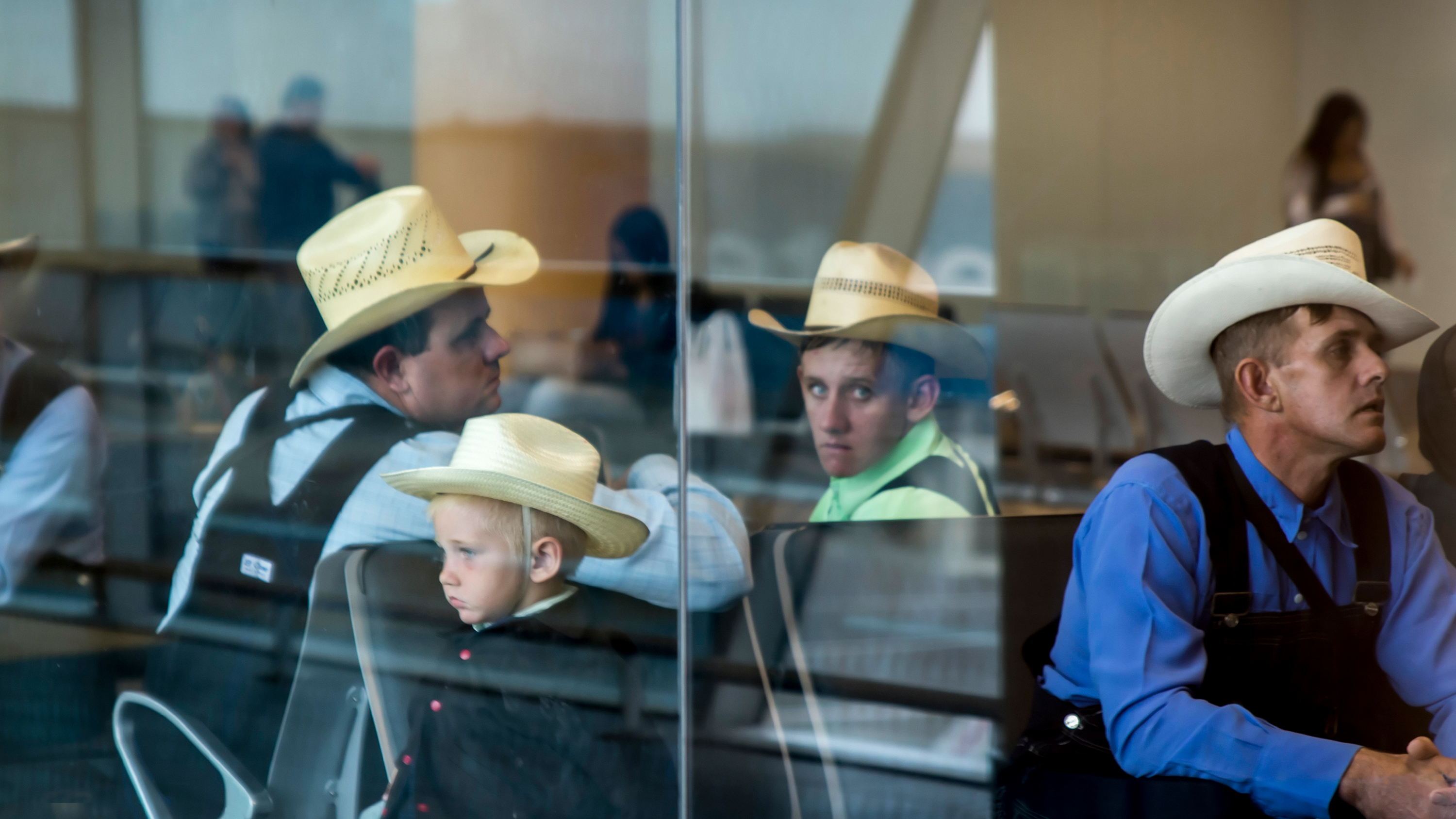 How Mennonites Learned to Thrive in Latin America News