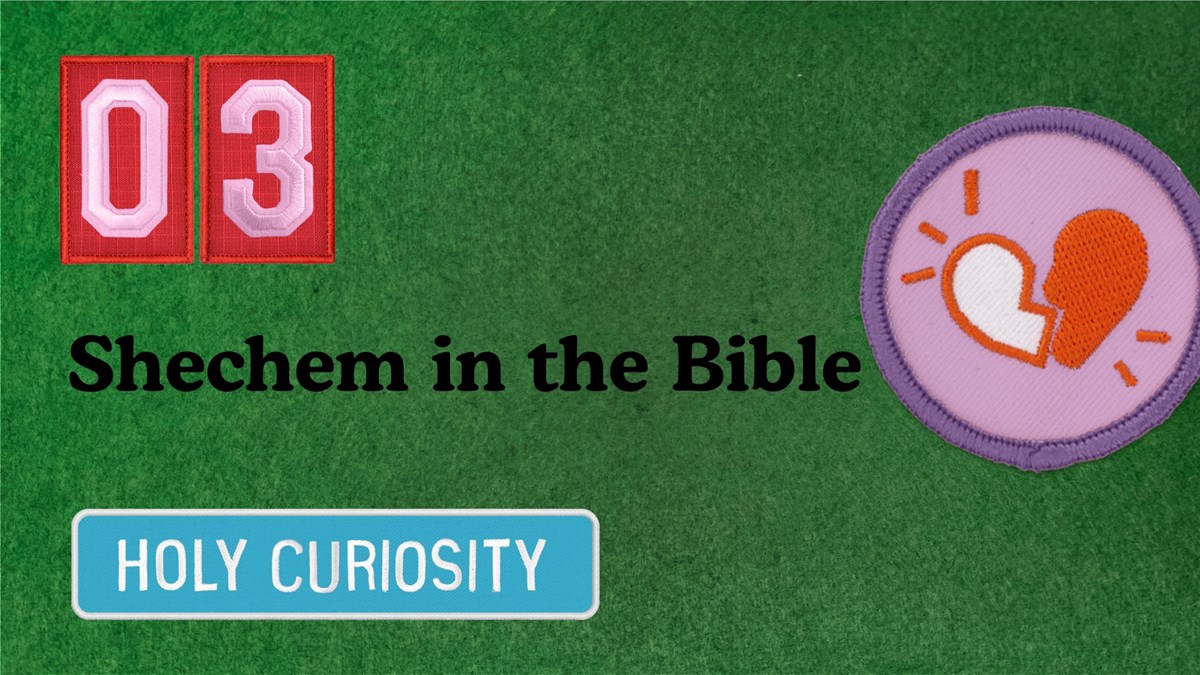Shechem Part 3: Shechem in the Bible with Dr. Tim Mackie of The Bible Project - Vimarsana News
