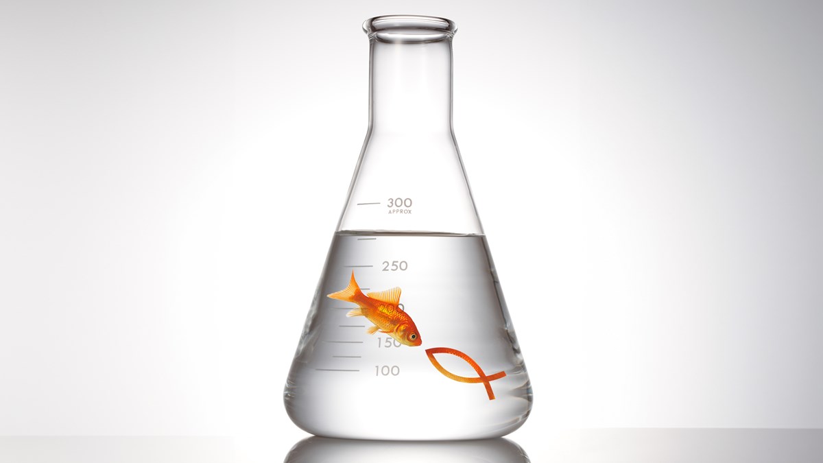 మన విశ్వాసం సైన్స్ కోసం చాలా పెళుసుగా లేదు