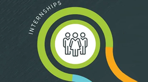 Internships: Blessings or Blind Spots?