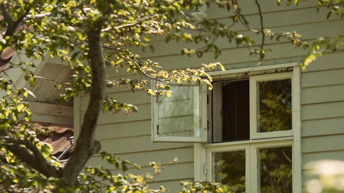 Luci Shaw Wants to Open the Windows - Vimarsana News