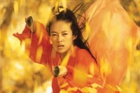 Zhang Ziyi plays the role of Moon