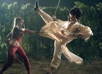 The film aims for some Crouching Tiger-style fight scenes, but falls short